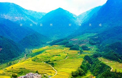 有機大米與稻谷種植的研發創新