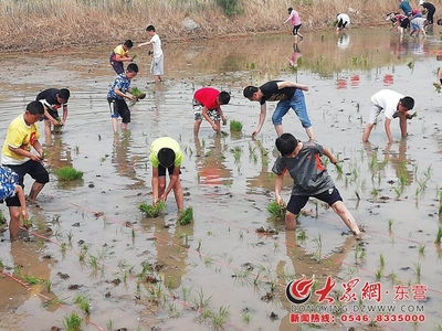 2018首屆中國黃河口大地文化藝術(shù)節(jié)插秧節(jié)盛大開幕，有機(jī)稻谷種植研發(fā)引領(lǐng)綠色農(nóng)業(yè)新篇章